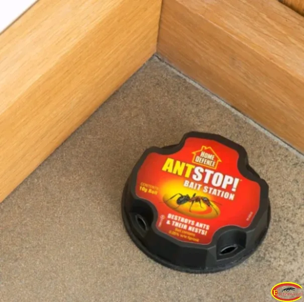 Ant Stop Bait Station Pack Of 2 Destroys Ants And Their Nests Indoor & Outdoor
