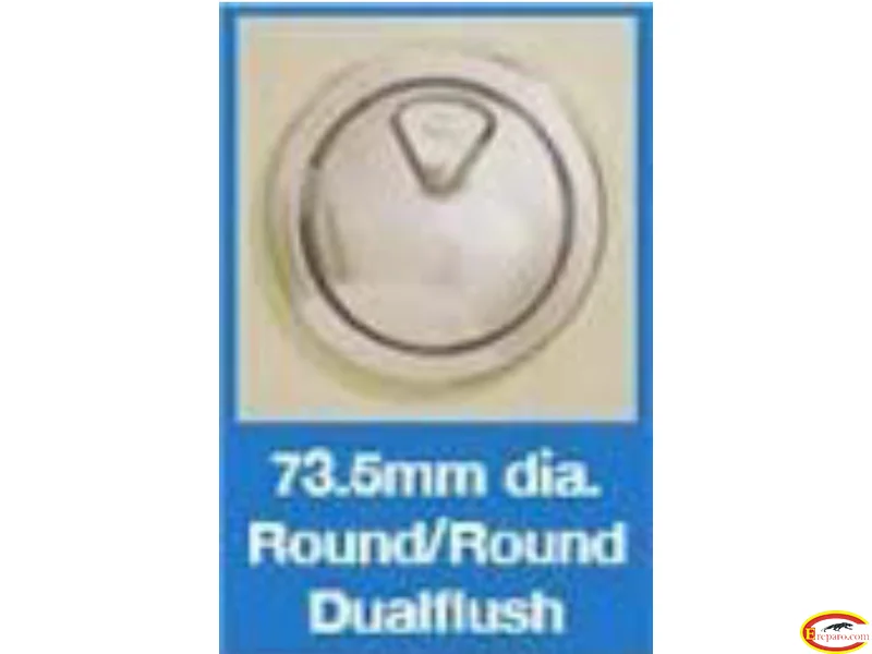 Thomas Dudley PSPLEV315921 Chrome Vantage Dual Flush Round Button in by Thomas Dudley