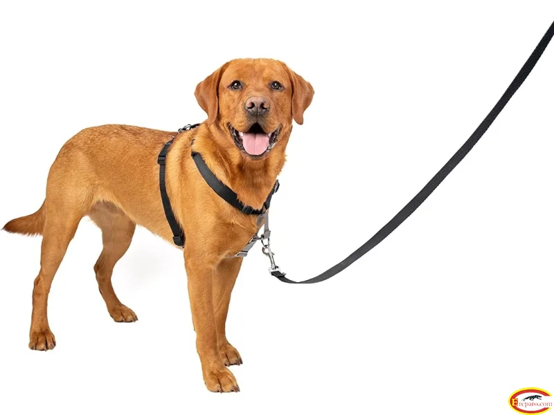 3 in 1 Harness and Car Restraint, Walking & Car Harness for Dogs
