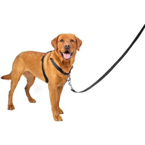 3 in 1 Harness and Car Restraint, Walking & Car Harness for Dogs