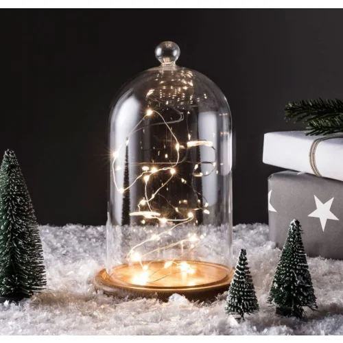 Battery Operated Fairy Lights with 20 Micro Warm White LEDs on Silver Wire